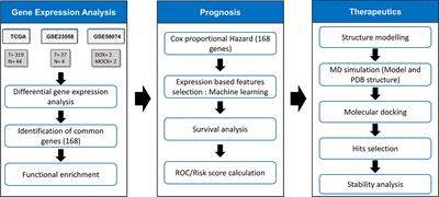 Identification of therapeutically potential targets and their ligands for the treatment of OSCC